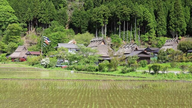 春の美山かやぶきの里
