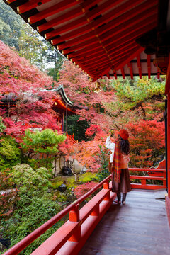 Solo female tourist taking a photo of beautiful scenic view and vibrant autumn foliage at Japanese temple in Kyoto