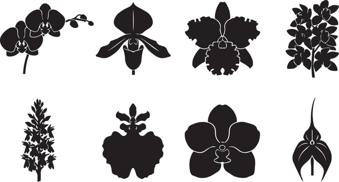 Collection of eight black orchid silhouettes, diverse tropical flower shapes including phalaenopsis, cattleya, and paphiopedilum species