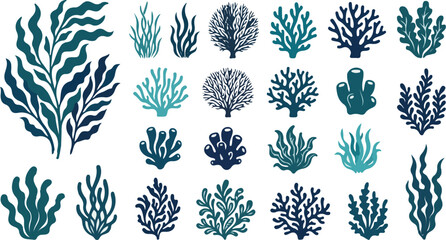 Underwater seaweeds kelp and coral reef vector blue silhouette set © SHARMIN