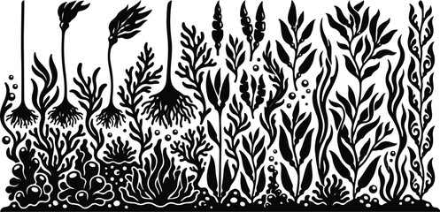 Dense underwater seabed with kelp holdfasts and seaweeds silhouette © SHARMIN