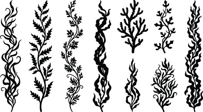 Vertical underwater seaweed kelp strands and vines vector silhouette collection