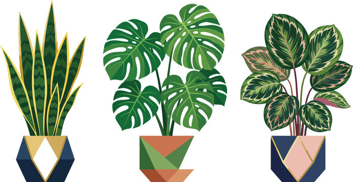 Modern geometric potted indoor houseplants vector set featuring monstera, snake plant, and calathea for home decor.