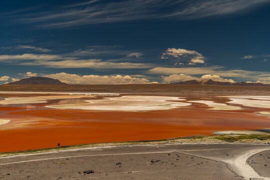 Laguna Colorada, Bolivia. The Red Lagoon, Sunny Day in Bolivia.
