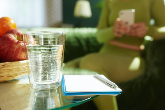 A woman sits on a sofa planning her wellness routine with fresh apples, sparkling water, and a notebook on a sunlit glass table.