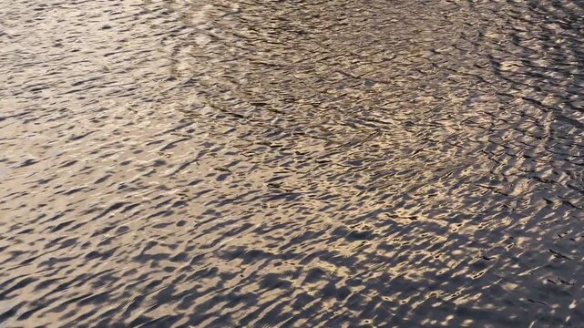 Golden Sunlight Reflecting on Rippling Water Surface
