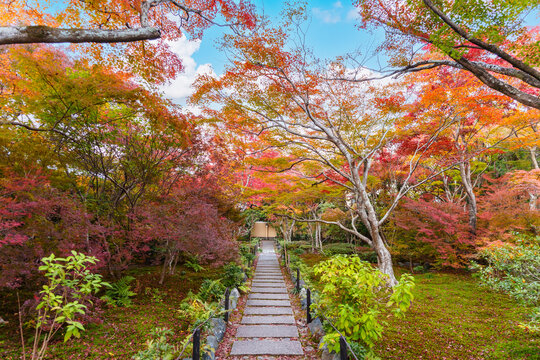 Peaceful autumn morning, A scenic stone path surrounded by red and orange foliage in a traditional Japanese park