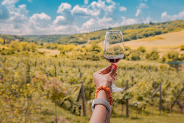 Obraz premium Hand holding a red wine glass against a sunlit vineyard landscape. Tasting tourism concept.