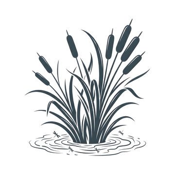  Cattail Marsh Silhouette Illustration