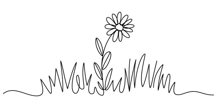 Single continuous line drawing of a simple daisy flower growing in the grass field Vector, illustration