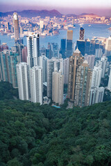 Obraz premium An aerial view of Hong Kong's skyline, showcasing its dense urban development juxtaposed with lush green forests, highlighting the city's unique blend of nature and modern architecture.