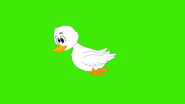 Cartoon Duck Character Ready for Animation