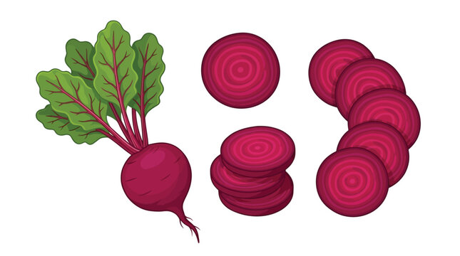 Fresh vibrant organic beetroots featuring sliced circular pieces arranged beside a whole vegetable with bright green leafy foliage stems attached