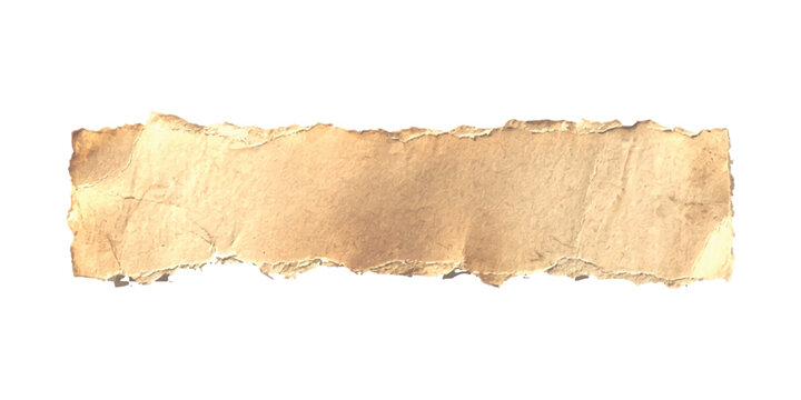 Old torn paper strip with rough edges and vintage texture