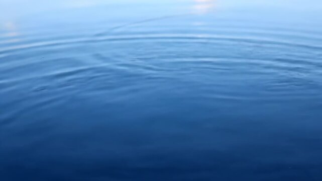 Close-up of floating objects on the water surface, close-up of water dripping into the ripples of water