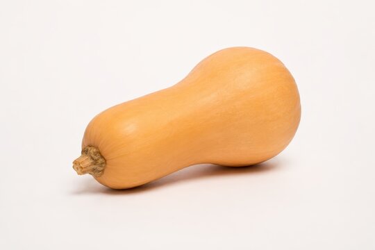 Butternut squash on a white background