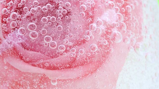 Serum gel texture on pink rose flower and bubbles, transparent cream background