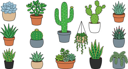 Potted succulent and cactus vector collection featuring aloe vera, snake plant, jade, hanging greenery, and decorative indoor houseplant illustrations © Yevhenii creative