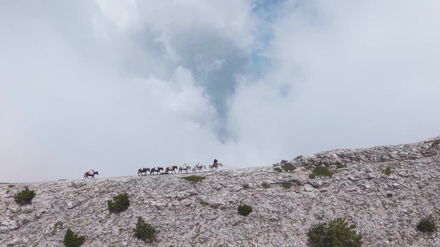 Aerial View of Pack Mules Ascending Rocky Ridge on Mount Olympus in Heavy Fog