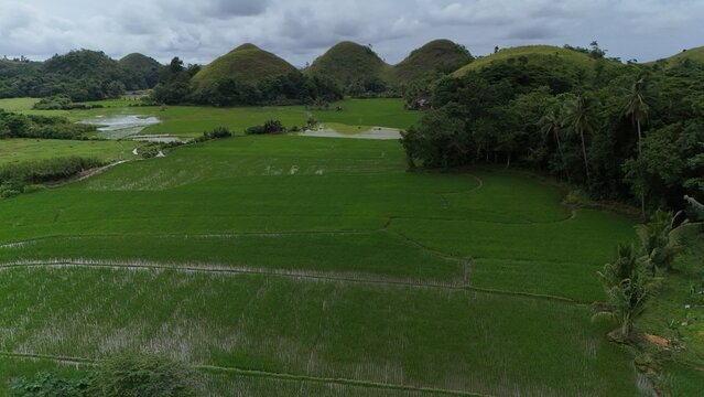 Aerial View of the Chocolate Hills in Bohol