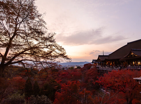 Panoramic View from Kiyomizu-dera Temple, Historic Buddhist Landmark and Popular Tourist Attraction in Kyoto, Japan