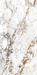 Obraz premium Luxurious white marble slab with dramatic dark and gold veining patterns