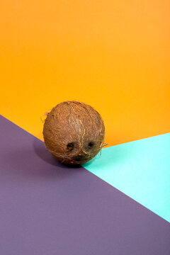 Abstract still life with a ripe coconut on a colored background