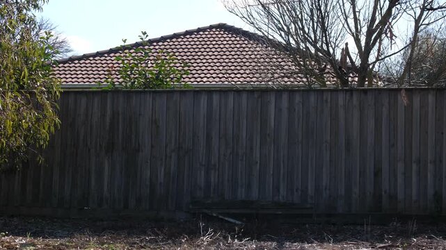Weathered timber paling fencing in a suburban neighborhood in Melton, Melbourne, Australia.&nbsp;A terracotta tiled roof of a modest home and bare winter branches&nbsp;behind wooden fence