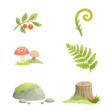 Watercolor cute forest and woodland vector set. Hand drawn forest elements with fern leaves, mushrooms, stump, mossy stone for asset, book, design