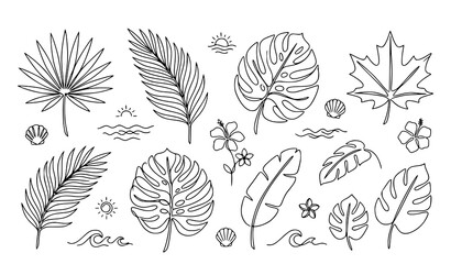 Hand drawn tropical leaves, monstera and botanical foliage outline vector collection for natural decoration © Keyapayal