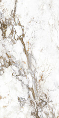 Obraz premium Natural white and gold marble stone surface pattern with background interior material abstract polished architecture construction artistic backdrop creative renovation aesthetic patterned