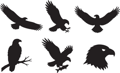 Naklejka premium Eagle Silhouette Collection Black Vector Set with Flying Hunting Perched and Eagle Head Icons Isolated on White Background