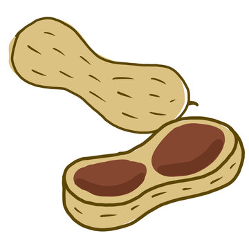 땅콩
