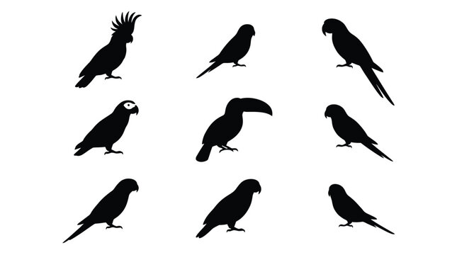 Various tropical parrot species vector silhouettes arranged in a clean set for professional creative design projects