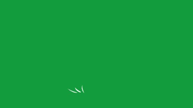 vector white lines wind effect on green screen, UI motion graphics. alpha adjustment layer, smooth animated line filter, 2d animation