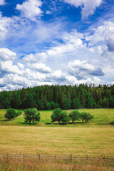 Fototapeta premium Blue sky, landscape and farm with nature in field, travel or agriculture with sustainability, growth and eco friendly. Meadow, land or holiday in Switzerland with ecosystem, biodiversity and location