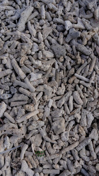 Macro texture of bleached dead coral rubble washed up on the beach