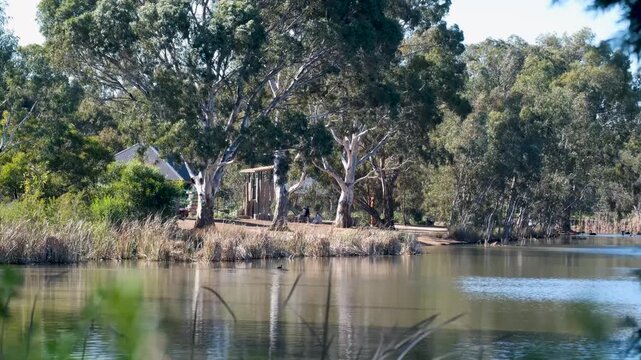 Darlingsford Lake in Melton, Melbourne, Australia. Mature eucalyptus gum trees, dense reeds, and native foliage with a park shelter, playground nestled in the natural landscape&nbsp;