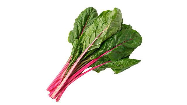 Fresh green chard stalks rhubarb vegetable isolated on transparent background cut out
