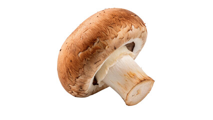 Single fresh raw organic brown button mushroom champignon ingredient isolated on transparent background © Amelia