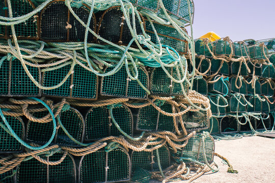 Traditional wire mesh fish trap used for fishing