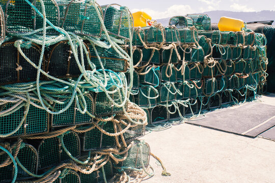 Traditional wire mesh fish trap used for fishing