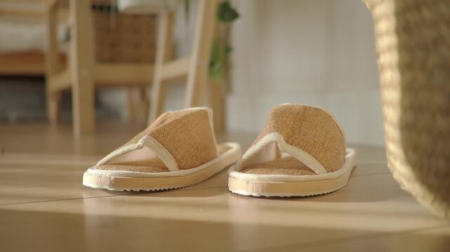 Indoor scene with casual slippers on the floor