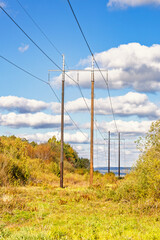 Obraz premium Power Line in a forest landscape with autumn colors in sunshine