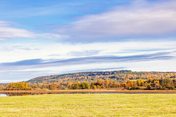Obraz premium Serene autumn landscape featuring a grassy field by a lake and autumn colours at the forest