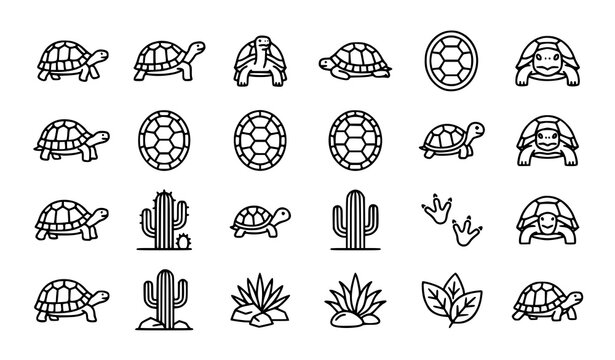 Hand drawn collection of turtles and tortoises with shells, cacti, leaves, paw prints and nature elements
