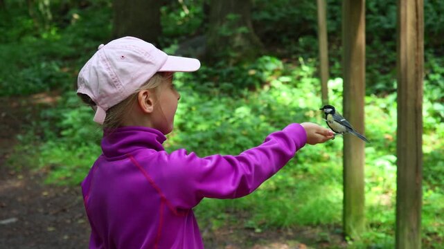 Slow-motion close-up of a great tit flying to a girl's hand to take a sunflower seed. The girl smiles with surprise as the bird lands briefly before flying away. A heartwarming nature scene showing tr