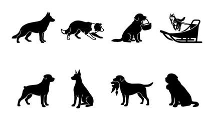 Working dog silhouettes collection, set of 8 canine breed icons including shepherd and husky, black service dog vector graphics for pet industry © Farhana
