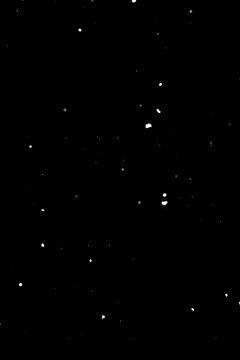 White snowflakes falling on black background, transparent effect overlay for editing.