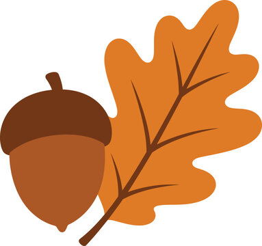 Cute cartoon autumn acorn nut with oak leaf illustration for seasonal graphic design projects on background.